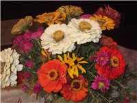 8fb1aff7-Picture 004.jpg